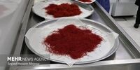 ۶۰ میلیون دلار زعفران در ۷ ماه نخست امسال صادر شد