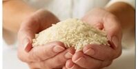 قیمت جدید برنج اعلام شد / برنج ایرانی ارزان شد