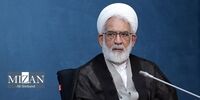 پرداخت حق‌الزحمه به اعضای هیئت عالی مولدسازی صحت دارد؟+فیلم