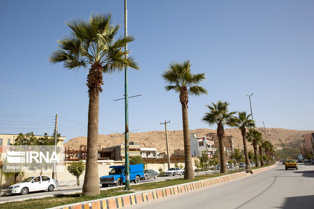 سر پل ذهاب