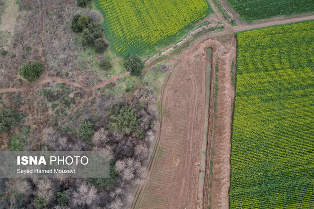 62187130_DJI_0025