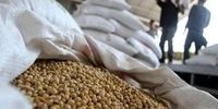 اعلام قیمت خرید تضمینی دانه‌های سویا و کلزا برای سال زراعی جدید 