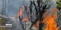 مهار آتش‌سوزی مناطق حفاظت شده باشت در مراحل پایانی/ احتمال نقش عامل انسانی در حریق