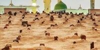 بن سلمان هم در باره حضور زنان در مسجدالنبی و قبرستان بقیع، راه وهابیون را می رود