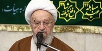 آیت الله مکارم شیرازی: هر که تمکن مالی بیشتری دارد باید مالیات بیشتری بدهد