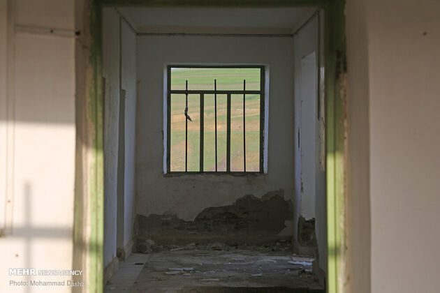 3747591_IMG_6221