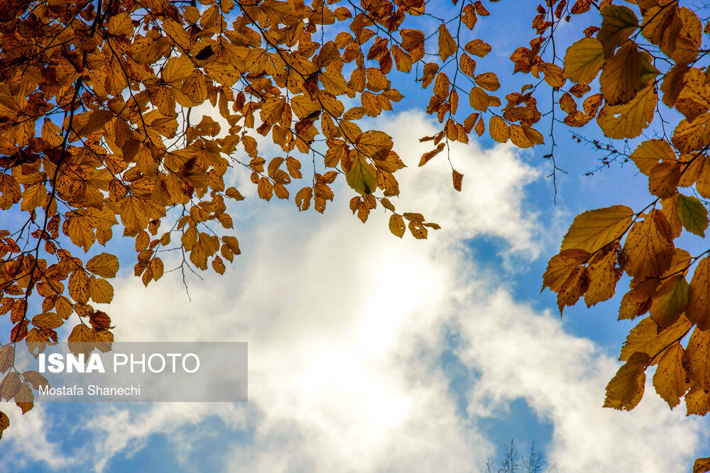 تصاویر اعجاب‌برانگیز از پاییز در استان مازندران
