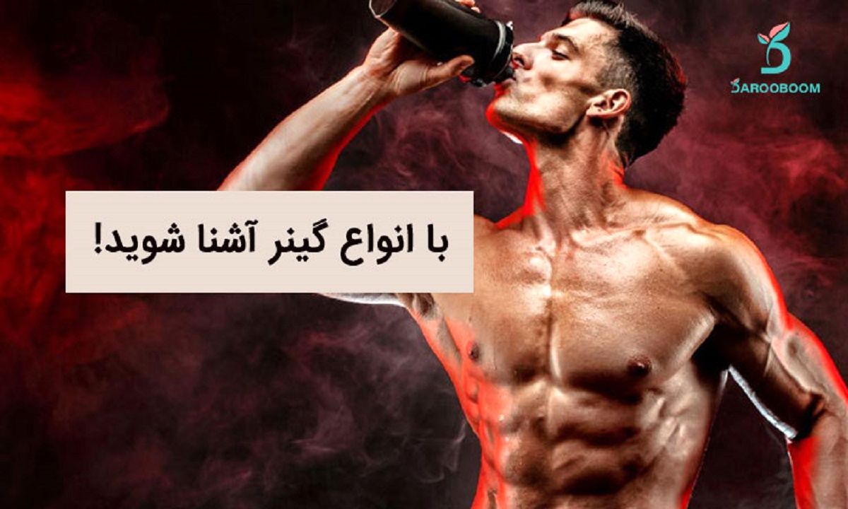 با انواع گینر آشنا شوید!