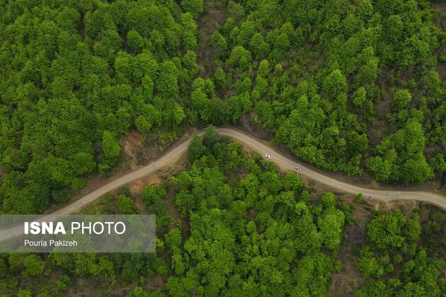 62279161_DJI_0317