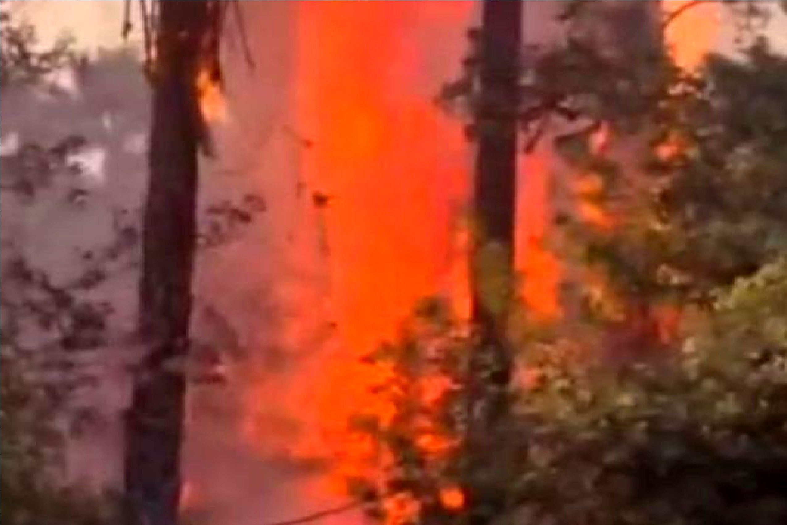 باغ تاریخی چشمهبلقیس چرام طعمه حریق شد + فیلم