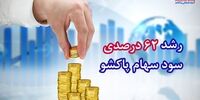رشد 62 درصدی سود سهام پاکشو