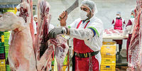 قیمت اصلی گوشت قرمز در بازار اعلام شد