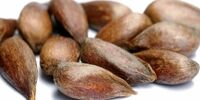 واقعا اگر هسته سیب بخوریم می میریم ؟

