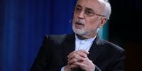 خروج از NPT وجه شرعی دارد و در حیطه اختیارات رهبری است/ مجلس نمی‌تواند بدون استفسار از رهبری نظر خود را بیان کند