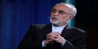 خروج از NPT وجه شرعی دارد و در حیطه اختیارات رهبری است/ مجلس نمی‌تواند بدون استفسار از رهبری نظر خود را بیان کند