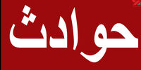 قاتل خاموش جان یک مادر با دو کودک اش را گرفت