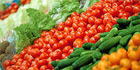 قیمت گوجه فرنگی به بیش از ۱۰ هزارتومان رسید

