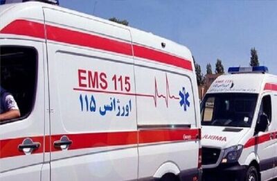 واژگونی خودرو 206 در محور تربت جام به صالح آباد
