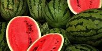 قیمت دولتی هندوانه و خربزه در سال ۱۲۹۵+عکس