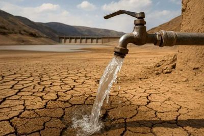 نژادبهرام: پایتخت‌نشینان تخلیه کنند کجا بروند؟ | 90 درصد کشور درگیر بحران کم آبی است | ستاد ملی تشکیل شود 3