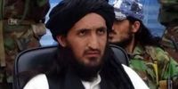 کشته شدن فرمانده ارشد طالبان پاکستان در پکتیکا