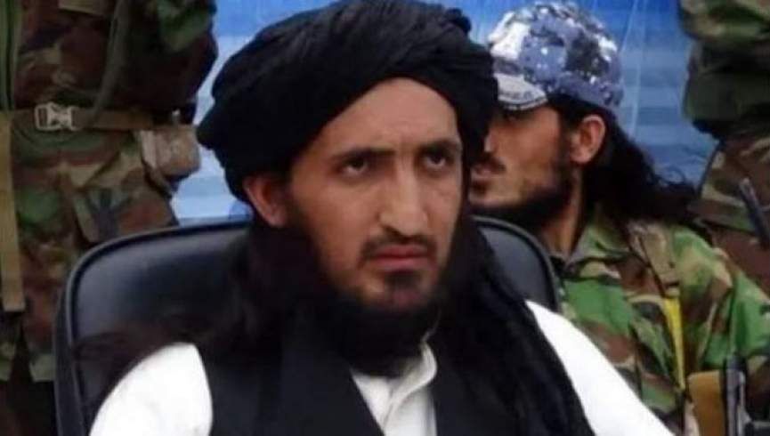 کشته شدن فرمانده ارشد طالبان پاکستان در پکتیکا