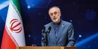 صالحی: میزان اورانیوم ۶۰ درصد به ۲.۵ کیلو رسیده است