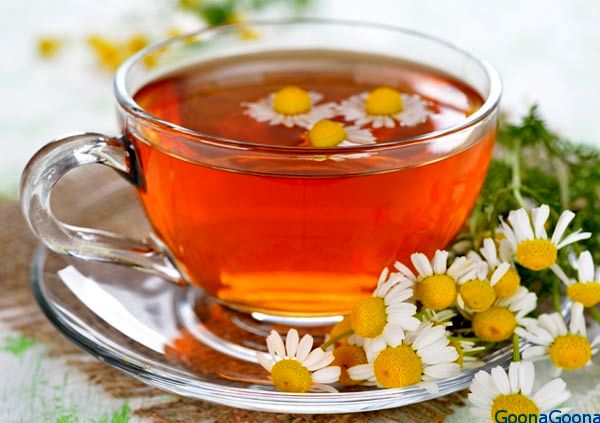 طرح کمپین جایگزینی دمنوش های گیاهی با چای راه اندازی شد