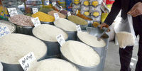 ارزانترین و گران ترین برنج ایرانی در بازار