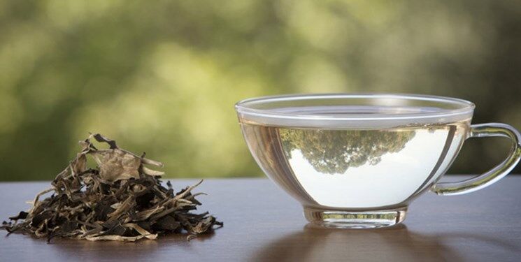 نوشیدن چه مقدار چای در روز بی خطر است؟

