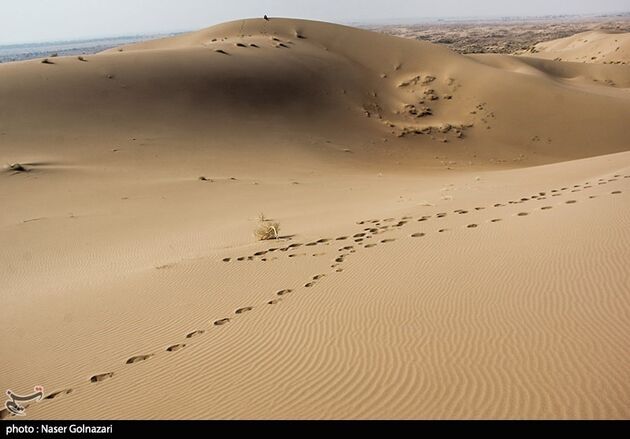 image10