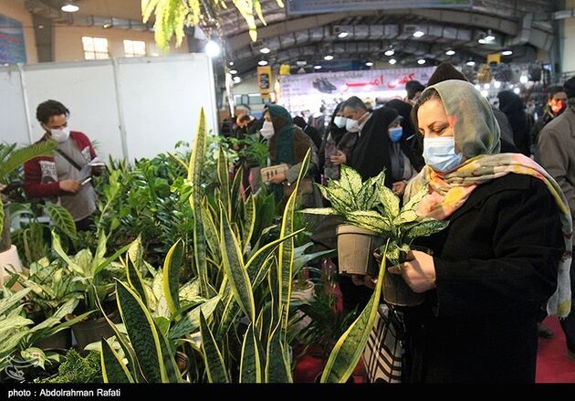 نمایشگاه گل همدان