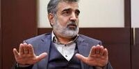 کمالوندی: توافق نشود احتمالا اطلاعات دوربین‌های نظارتی آژانس حذف می‌شود
