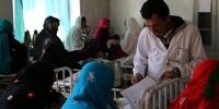 ضرب‌العجل طالبان به مردان: تا عید فطر فرصت دارید ریش بگذارید/ محل کار زنان و مردان باید از یکدیگر جدا شوند
