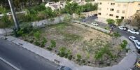 نهال های پارکینگ عمومی چیذر به بوستان قیطریه منتقل شد

