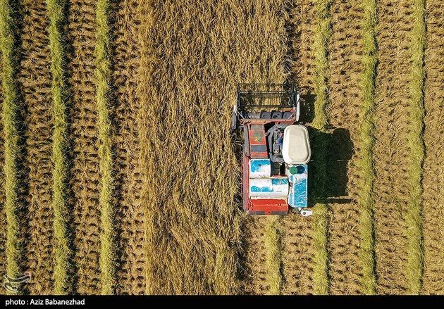 image14