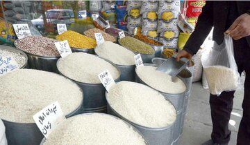 خبر خوش درباره قیمت برنج