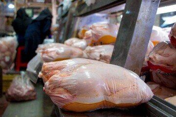 قیمت مرغ در بازار امروز 19 مهر