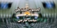 جزئیات طرح الزام دولت به تعلیق همکاری با آژانس تصویب شد