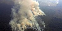 انتقادها از گوگل برای ارائه نتایج بی‌ربط هنگام جستجوی آتش‌سوزی آمازون