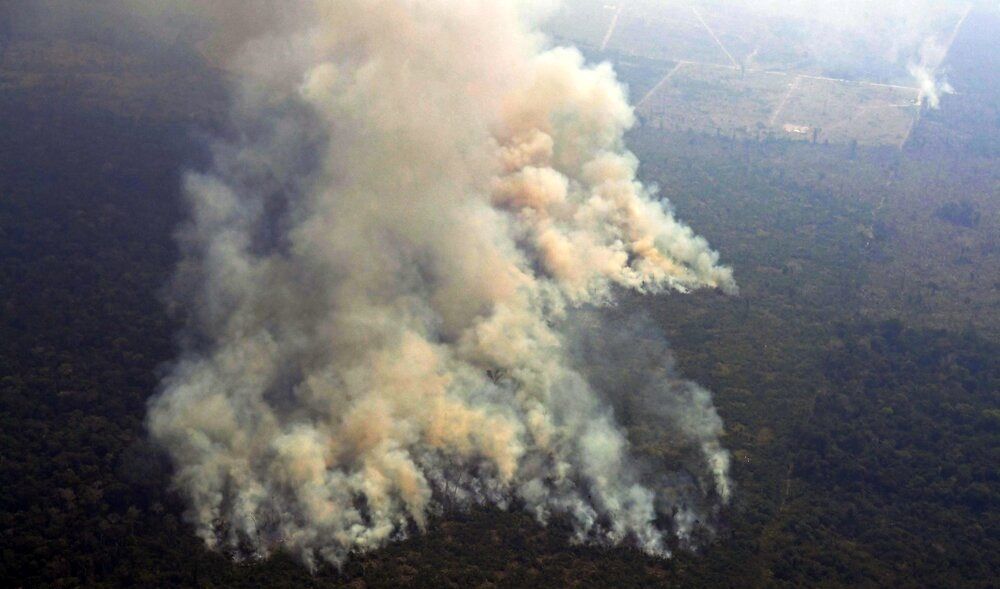 انتقادها از گوگل برای ارائه نتایج بی‌ربط هنگام جستجوی آتش‌سوزی آمازون
