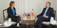  امیرعبداللهیان: ایران برای مبارزه با تروریسم هزینه‌های زیادی داد