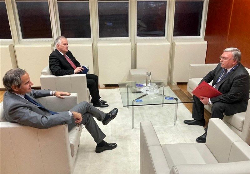 روایت اولیانوف از دیدارش با گروسی/ درباره ایران بحث کردیم