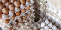قاچاق تخم مرغ به افغانستان و عراق 