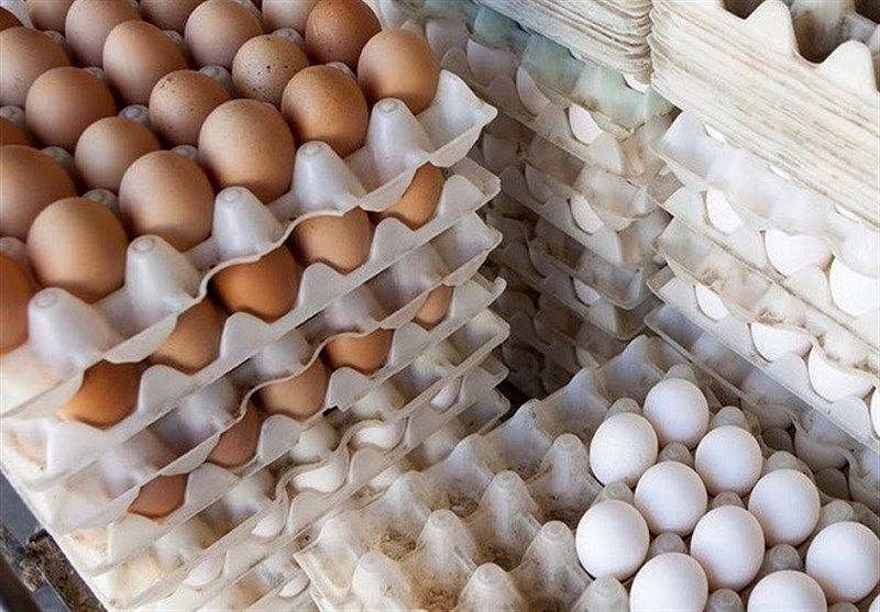 صادرات تخم مرغ ممنوع شد +عکس