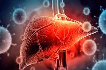 این 5 خوراکی کبدتان را سالم نگه می دارند