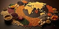 امنیت غذایی جهان زیر سایه ناآرامی‌های دریای سرخ+ نمودار