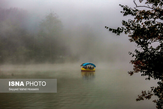 62097456_vahid-hoseini-16