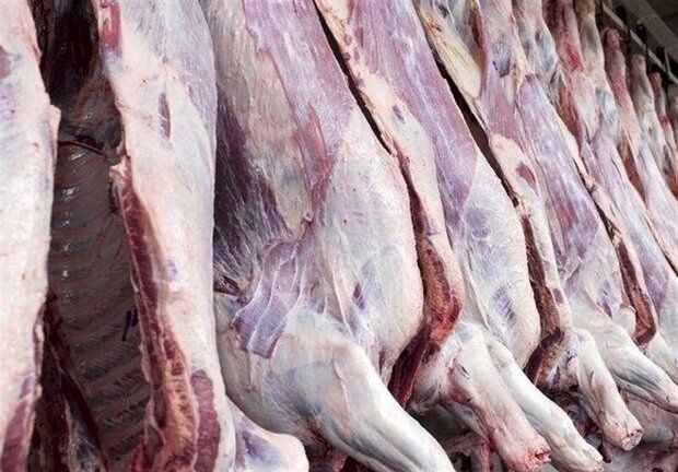 قیمت گوشت قرمز گوسفندی امروز 6 تیر 