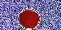 کاهش تولید زعفران در کشور